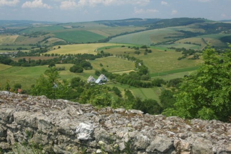 Záhorie           / foto: slovakregion.sk