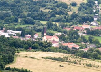 Borinka z Pajštúna               /        zdroj: wikimedia.org