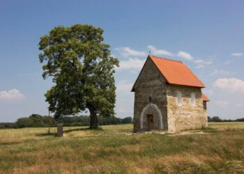 Strom roka 2018 - lipa veľkolistá Kopčany / foto: Martin Babarík