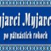 zdroj: myjava.sk