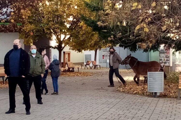 foto: Polícia SR - Trnavský kraj