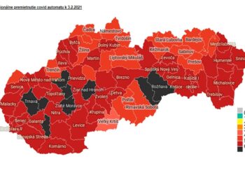 zdroj: www.health.gov.sk