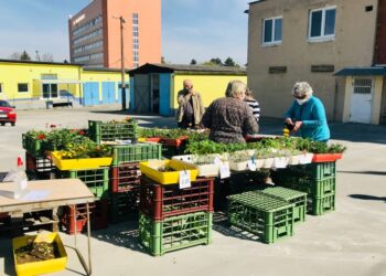 fotky: zdroj Mesto Senica