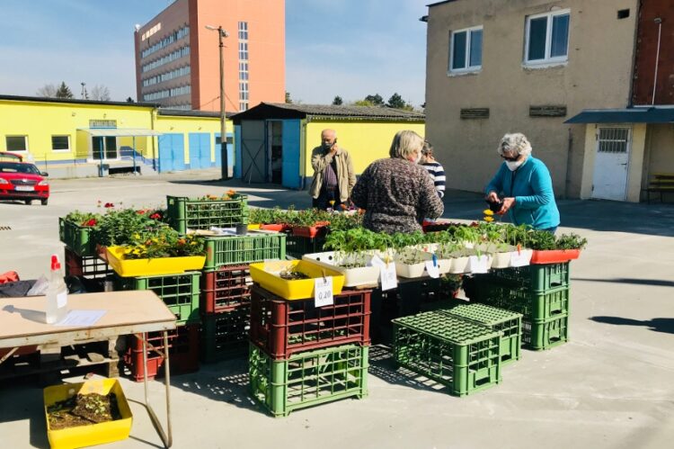 fotky: zdroj Mesto Senica