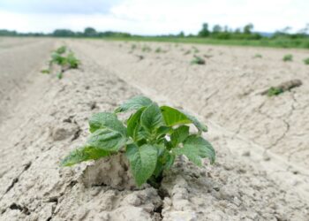 Sanagro Senica NaZahori.sk