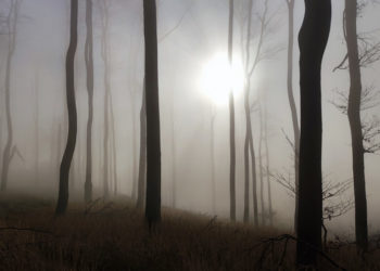 Cmeľok atmosféra na prelome jesene a zimy foto: S. Osuský, J. Hargaš