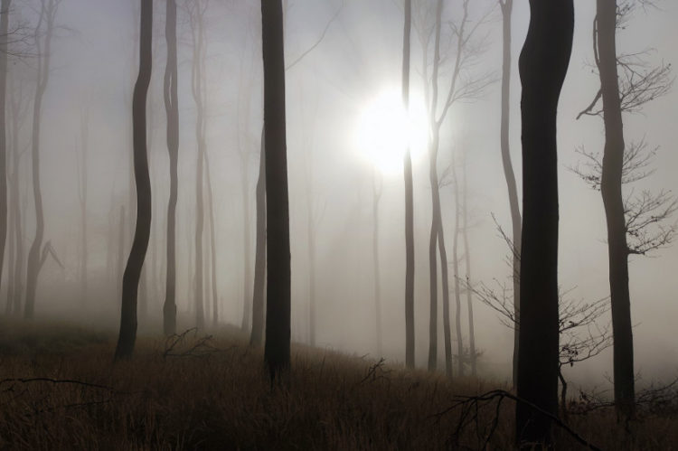 Cmeľok atmosféra na prelome jesene a zimy foto: S. Osuský, J. Hargaš