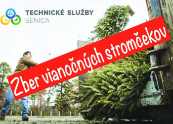 zber vianočných stromčekov zdroj: Mesto Senica FB