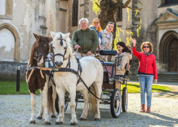 Kráľovský okruh po Skalici na konskom povoze aj túto sezónu zdroj foto: TIK Skalica