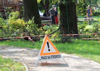 Od dnes arboristické práce v Zámockom parku v Malackách zdroj: malacky.sk