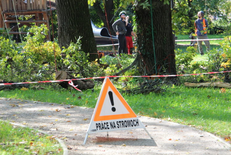 Od dnes arboristické práce v Zámockom parku v Malackách zdroj: malacky.sk