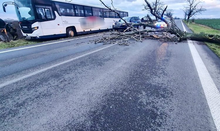 Na cestách sa môžu vyskytnúť popadané strom. Zdroj: Polícia SR