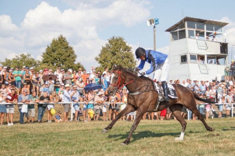 archív zdroj: Mesto Senica