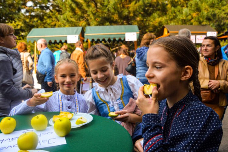 Jablkové hodovanie archív zdroj: BSK