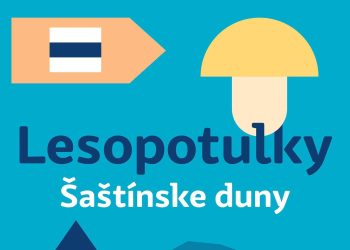 Lesopotulky - Šaštínske duny