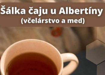 Šálka Čaju u Albertíny, Košariská