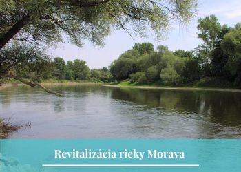 Investície do obnovy rieky Morava z plánu obnovy