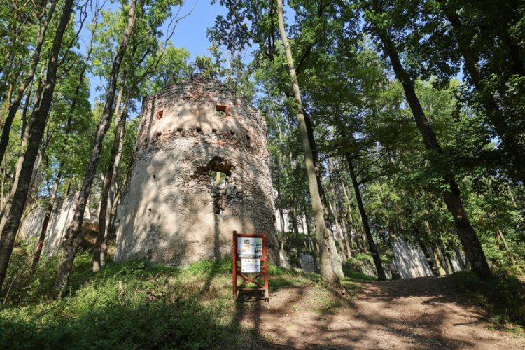 Zrúcanina hradu Dobrá Voda zdroj foto: Vladimír Miček NaZáhorí  OZ