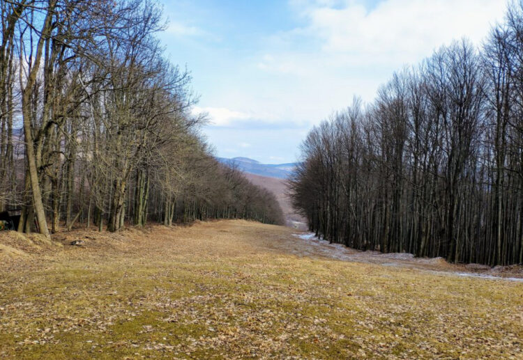 Pezinská baba zjazdovka zdroj: BSK