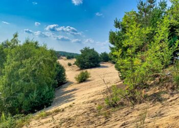 Šranecké piesky - Slovenská Sahara