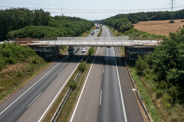 rekonštrukcia mosta do obce Závod zdroj: BSK